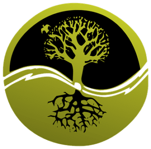 Root Cause Analysis concept - Business Management Consultancy Services