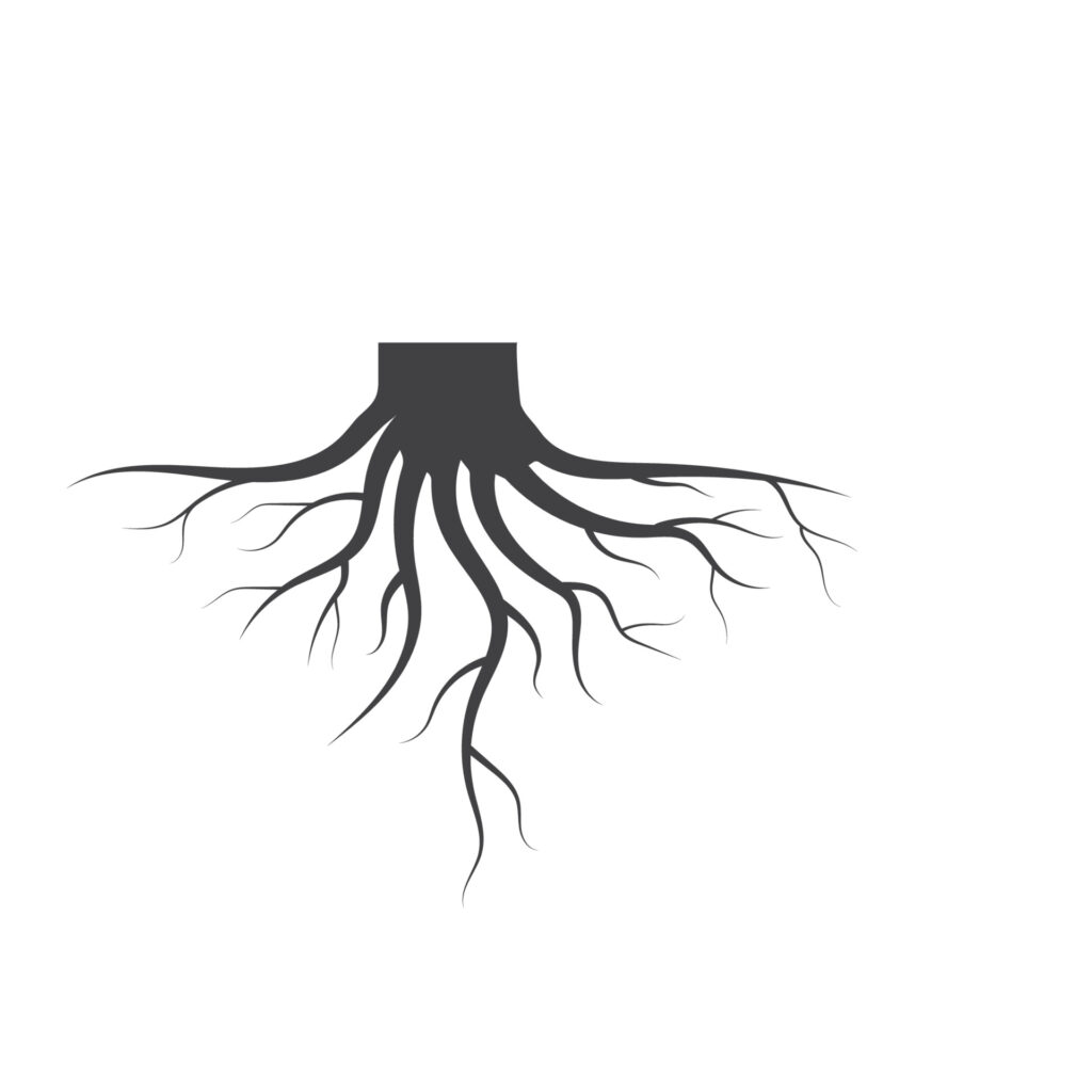 Root Cause Analysis