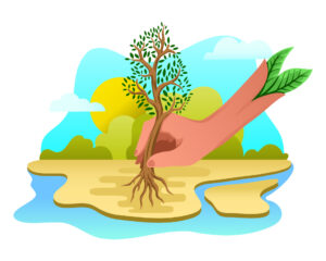Hand uprooting a plant on an island to show its roots