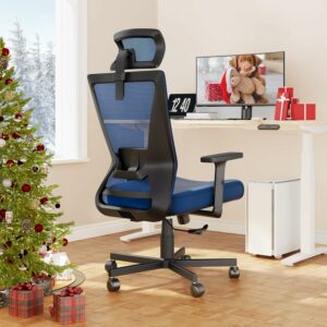 DRIPEX-Ergonomic-Office-Chair - Qualities of a Good Office Chair